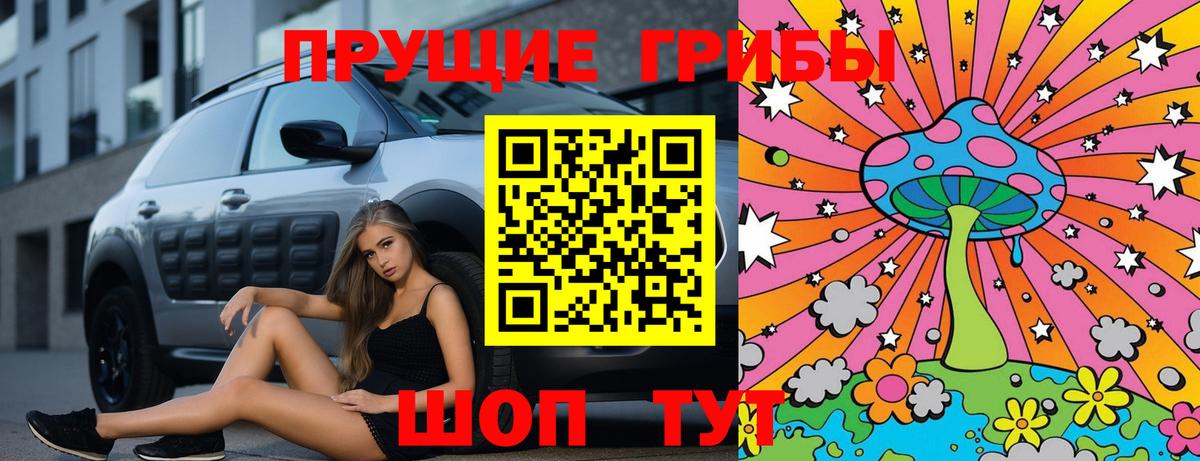 Псилоцибиновые грибы Psilocybe  Армавир  Галлюциногенные грибы Psilocybe 