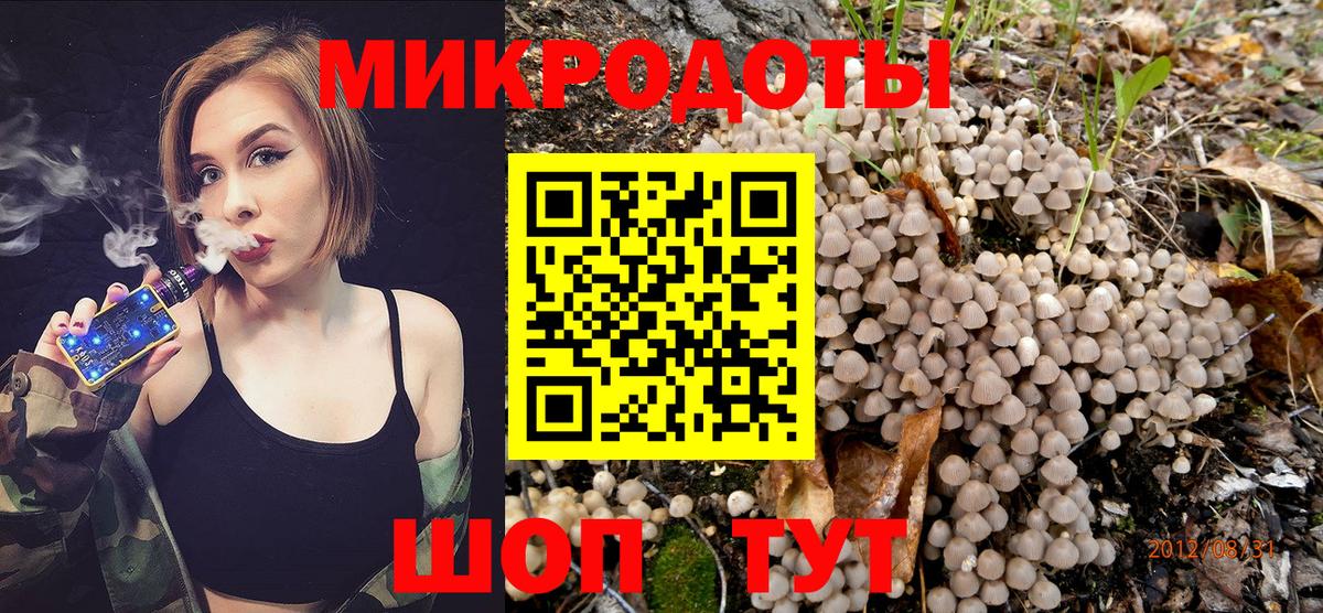 Галлюциногенные грибы мухоморы Армавир